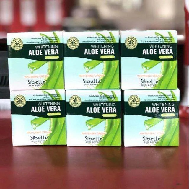 28322 aloe vera plant