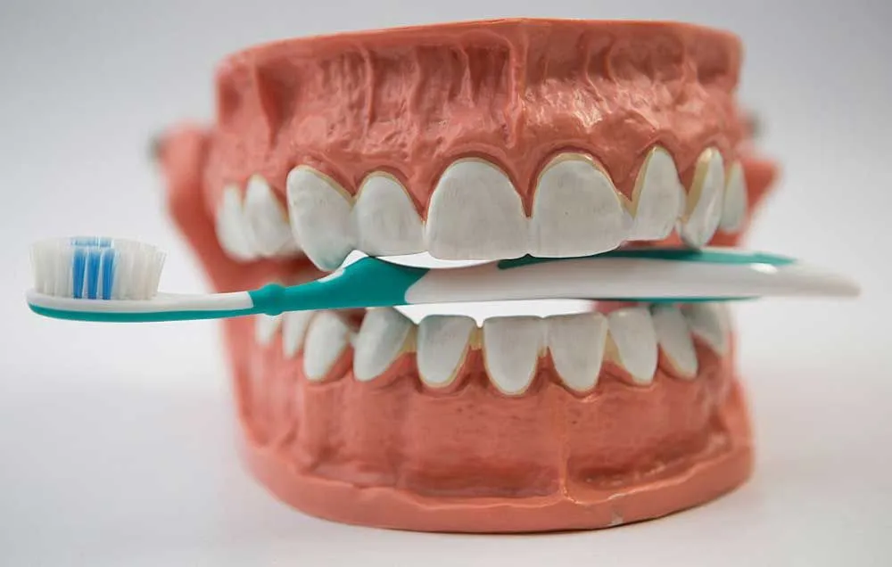 28330 soft bristled toothbrush