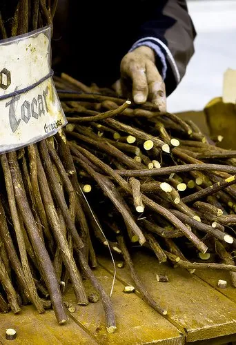 28390 licorice for skin whitening 3